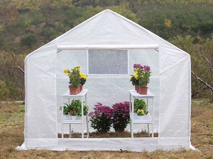 10x10ft Outdoor Green House